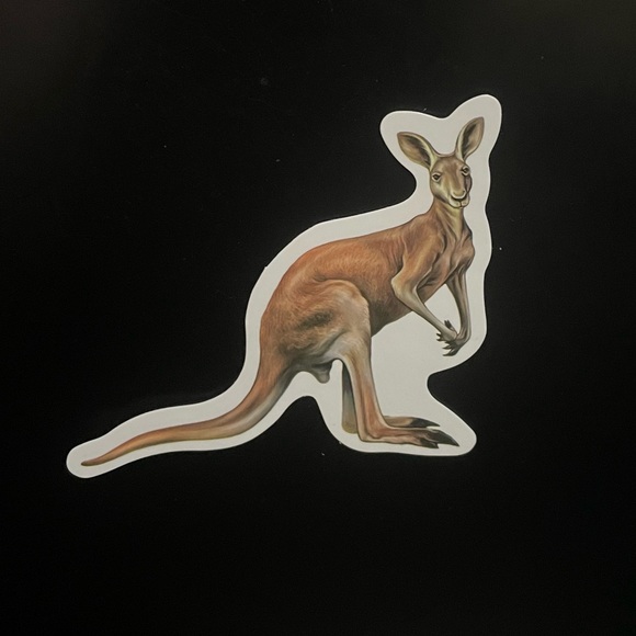 Kangaroo Sticker - Picture 1 of 2